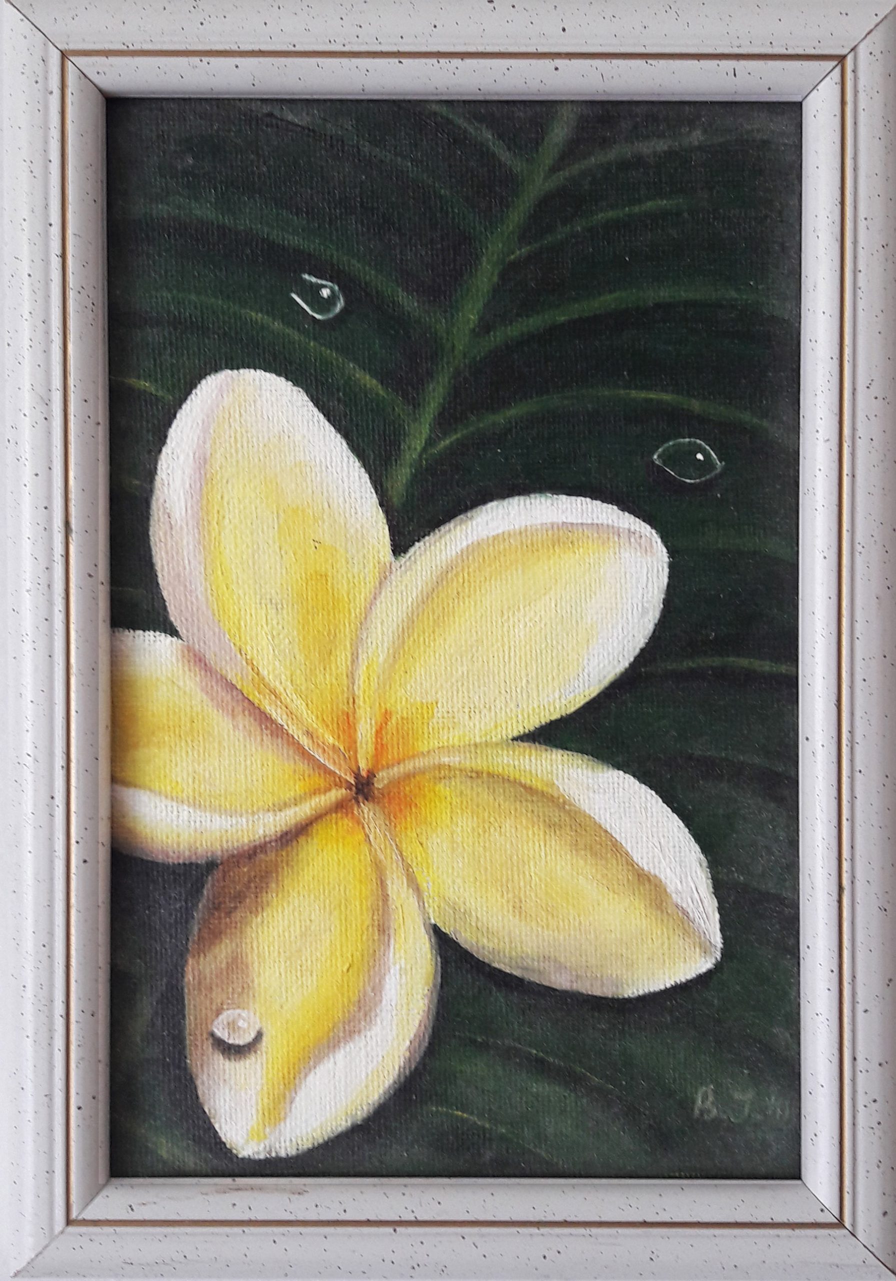 FRANGIPANI, 30x20cm
