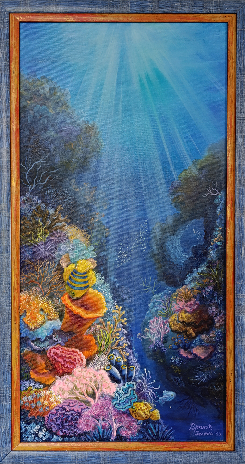 Koralna Bašta 60x30cm